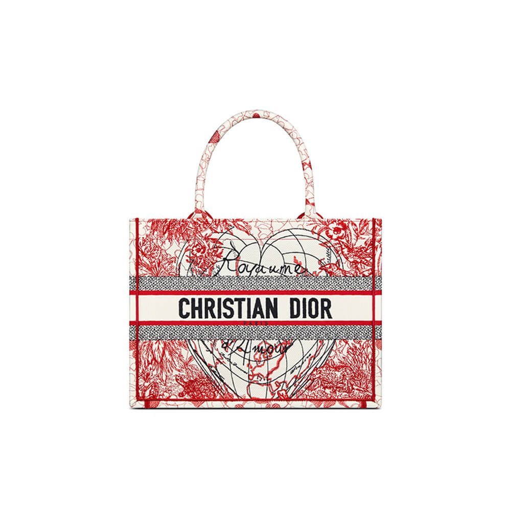 1-465.jpg SMALL DIOR BOOK TOTE - 图片 1