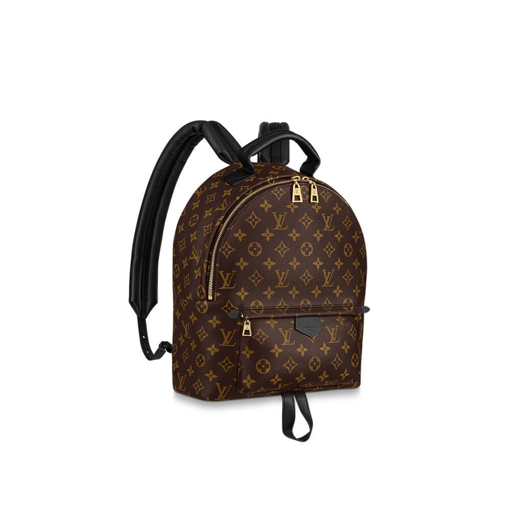 1-509.jpg Louis Vuitton PALM SPRINGS MM - 图片 1