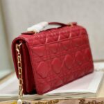 MISS DIOR MINI BAG - 图片 6