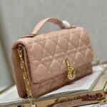 MISS DIOR MINI BAG - 图片 4