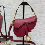 DIOR Mini Saddle Bag with Strap - 图片 2