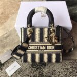 Medium LADY D-LITE handbag - 图片 2