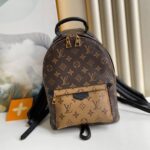 Louis Vuitton PALM SPRINGS PM - 图片 2