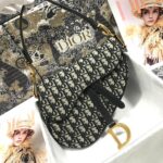 Dior SADDLE BAG - 图片 2
