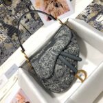 Dior SADDLE BAG - 图片 2