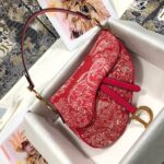 Dior SADDLE BAG - 图片 2