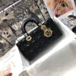 LADY D-JOY BAG - 图片 2