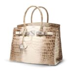 Hermes Birkin 15/20/ 25 / 30/35/40 - 图片 21