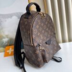 Louis Vuitton PALM SPRINGS PM - 图片 3