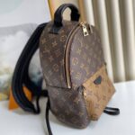 Louis Vuitton PALM SPRINGS PM - 图片 3