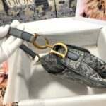 Dior SADDLE BAG - 图片 3