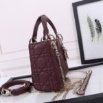 Mini Lady Dior Bag - 图片 4