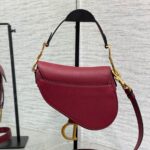 DIOR Mini Saddle Bag with Strap - 图片 3