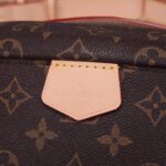 LV Bumbag - 图片 4