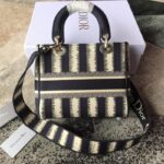 Medium LADY D-LITE handbag - 图片 4