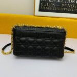 Large Caro Handbag - 图片 4