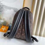 Louis Vuitton PALM SPRINGS PM - 图片 4