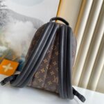 Louis Vuitton PALM SPRINGS PM - 图片 4