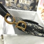 Dior SADDLE BAG - 图片 4