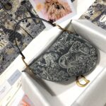 Dior SADDLE BAG - 图片 4