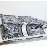 LARGE DIOR BOOK TOTE - 图片 4
