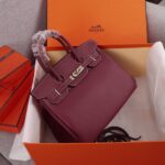 HERMES BIRKIN BAG 25 - 图片 4