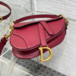 DIOR Mini Saddle Bag with Strap - 图片 5