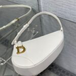 Dior Saddle Rodeo Pouch - 图片 5