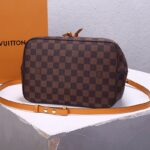 LV NeoNoe Bucket Bag - 图片 5
