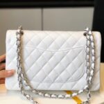 CHANEL Classic Flap Handbag - 图片 5