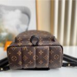 Louis Vuitton PALM SPRINGS PM - 图片 5