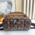 Louis Vuitton PALM SPRINGS PM - 图片 5