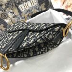 Dior SADDLE BAG - 图片 5