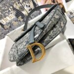 Dior SADDLE BAG - 图片 5