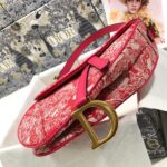 Dior SADDLE BAG - 图片 5