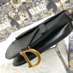 Dior MINI SADDLE BAG - 图片 5