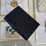 LV PASSPORT COVER - 图片 5