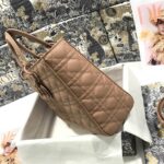 DIOR LARGE LADY DIOR BAG - 图片 5