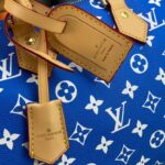 LV Speedy P9 Bandouliere 25 - 图片 6
