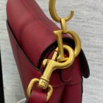 DIOR Mini Saddle Bag with Strap - 图片 6