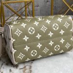 LV Speedy Bandouliere 20 2way Hand Bag - 图片 5