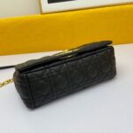 Large Caro Handbag - 图片 6