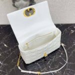 Large Caro Handbag - 图片 6
