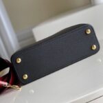 Louis Vuitton CAPUCINES BB BAG - 图片 6