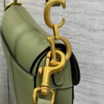 DIOR Mini Saddle Bag with Strap - 图片 6
