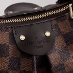 Louis Vuitton Siena MM - 图片 6