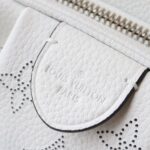 Louis Vuitton SCALA MINI POUCH - 图片 6