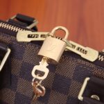 Louis Vuitton ALMA BB - 图片 6
