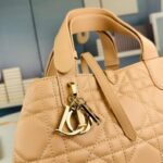 SMALL DIOR TOUJOURS BAG - 图片 6
