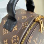 Louis Vuitton PALM SPRINGS PM - 图片 6